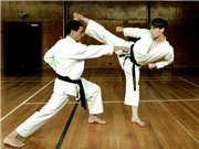 Nguồn gốc môn võ karate